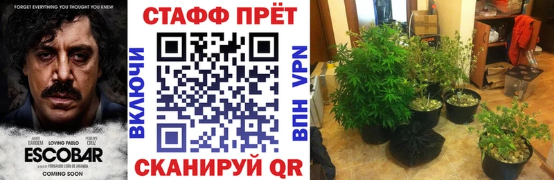 Где продают наркотики Владикавказ Cocaine  Героин  А ПВП  Каннабис  ГАШИШ  Мефедрон 