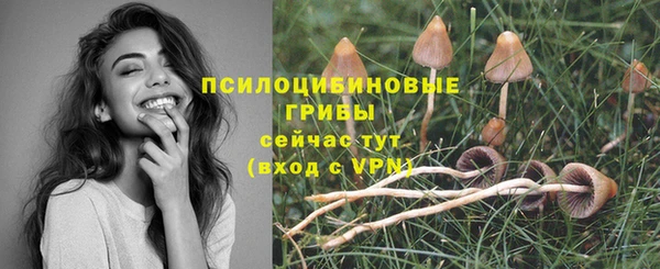 бутик Новозыбков