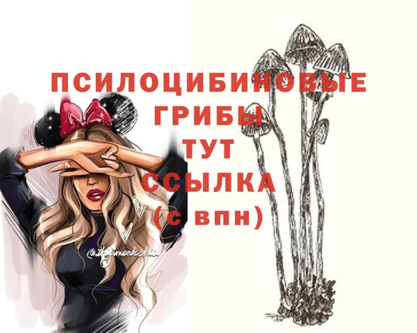 эйфоретик Новодвинск