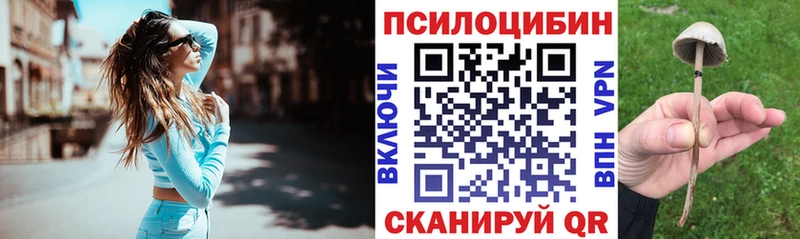 даркнет сайт  Владикавказ  Псилоцибиновые грибы мицелий 