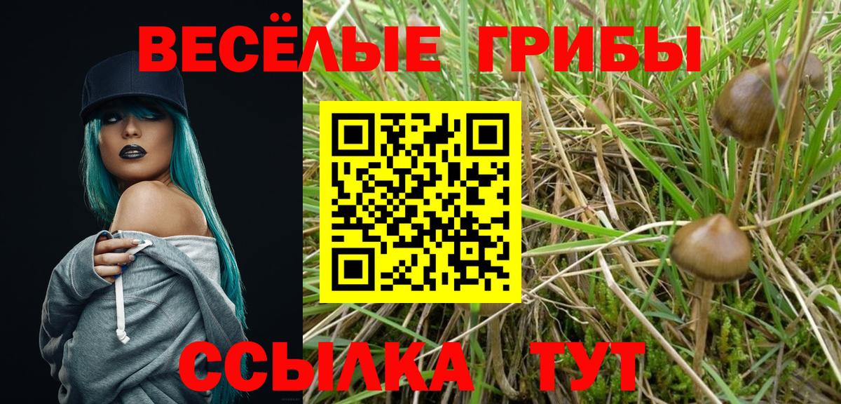 Галлюциногенные грибы Magic Shrooms  Псилоцибиновые грибы Psilocybine cubensis  Владикавказ  Вход с VPN 